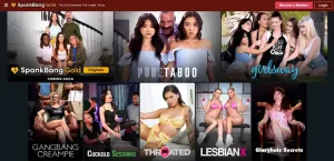 Some of the premium porn channels available at SpankBang Gold