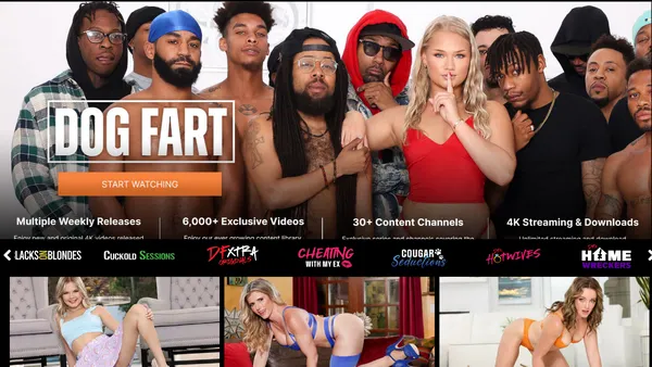 Dogfart Network homepage hero section with gangbang action