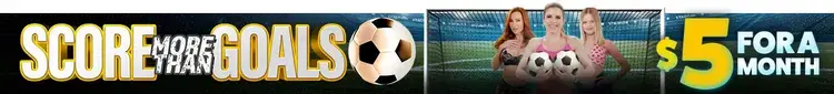 sale-banner Promotion banner